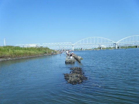 omzvakbwjp3unnjr97jr_480_480-c9422e64.jpg