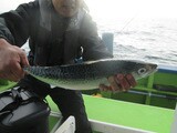 on9c445mbjjkvk9jyr3r_160_120-4fa33297.jpg