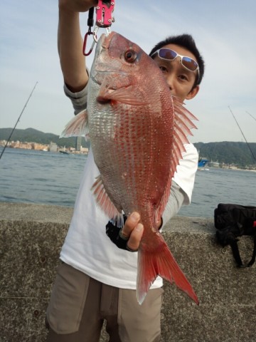 onauak6bz7sdzy9zpg8j_480_480-6ba6b7af.jpg
