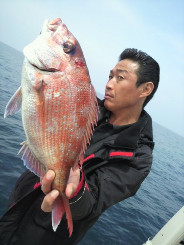 oncto6daibkspah74if7_480_480-53d14277.jpg