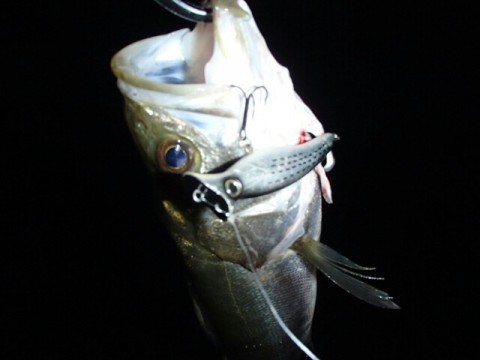 onmmab9etse7ea4orxu5_640_480-c9322b89.jpg