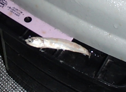 onv9vpx5kwasw8n3ksjv-b30289ef.jpg