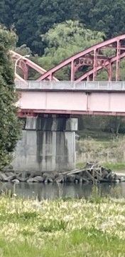oodakdehyd54ah23kvep_234_480-f462291c.jpg