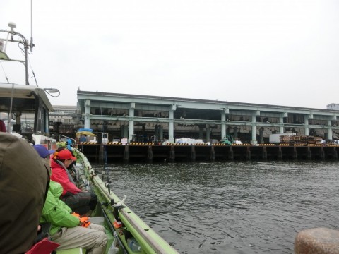 oooirud6taf559wu9sfo_480_480-96b83afb.jpg
