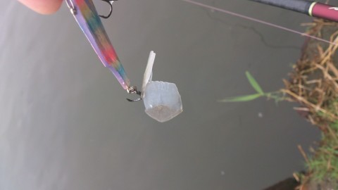 oox9kkfmdfxtuhxr4zbc_480_480-1e11808b.jpg