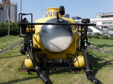 ooxaou2vvjp4ytrapgdo_480_480-c1590344.jpg
