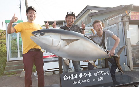 op545foarpbgfusd7jvg_480_480-6f716cca.jpg