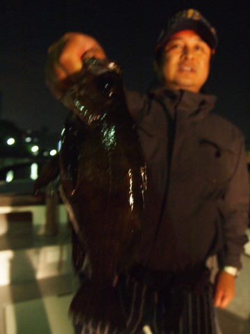op5ibu5d2icdybmm8rez_480_480-4281feff.jpg