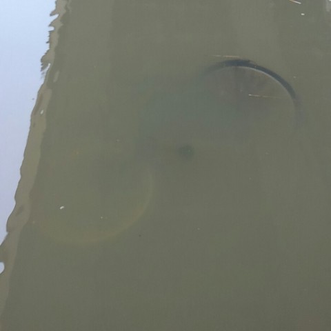 op8b99b266mdbm2kbswd_920_920-bf20563c.jpg