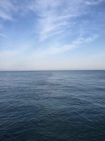 opgrtb7ja7gv5nhzsg7f_690_920-64821eef.jpg