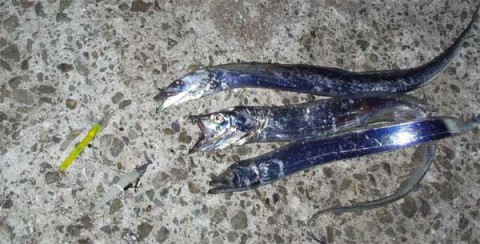 全部で3本