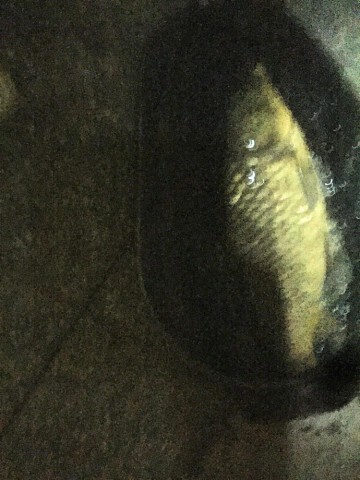 opt6ahdo7nd8kfkfyokg_690_920-0285c836.jpg