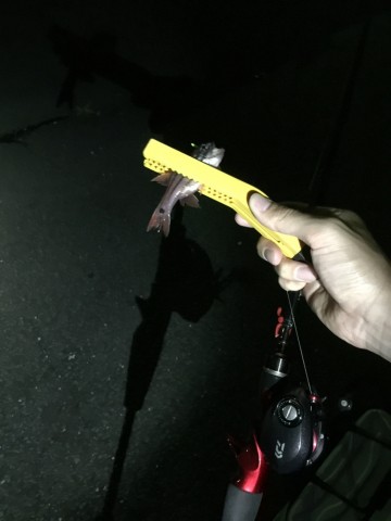 opt75r676xfowtvmcezf_690_920-edc0d50a.jpg