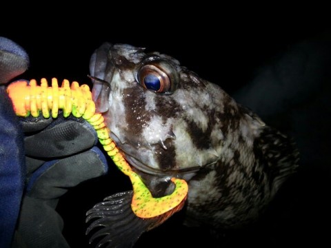 optbiyi9dpvhrkrb3jrv_640_480-e12ed283.jpg