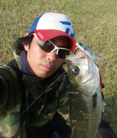or4rj39t5kapoja38vj7_384_452-41a73396.jpg