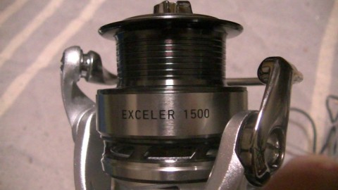 or9k5ts9k3iea8g5k5uu_480_480-3921e409.jpg