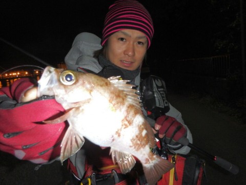 ordbca2kknww66fkc7gj_920_690-bb80fa46.jpg