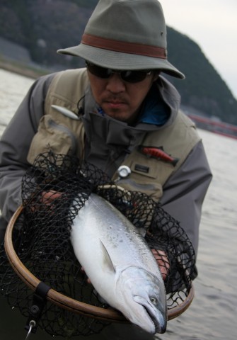 orkie8xottefdc6shhp5_480_480-8cfbfcc0.jpg