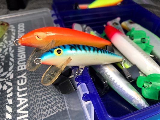 その両腕に夢魚を抱け 初めてのrapala ラパラ