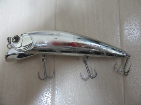 os27phvwwhnhmy8z7pj2_480_480-58d04544.jpg