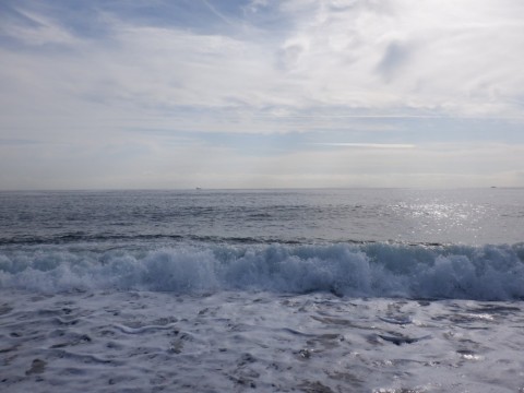 os29y6t3dsxwrhtmw49d_480_480-ac44eaeb.jpg