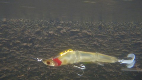 os69xosbrytgegdanirr_480_480-fe7b1f76.jpg