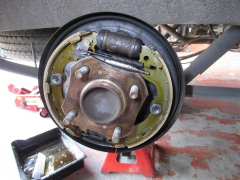 osbbsypaex9nvozb42c7_480_480-8ba57dd0.jpg
