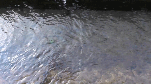 osdhxnuftd9gy8r75k37-25cf1b41.gif