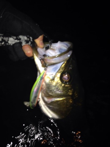 osfr58m42owy5apb2zrj_690_920-fd995dc7.jpg
