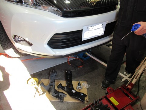 osiyct2xczobp45fd7hg_480_480-cae46f4c.jpg