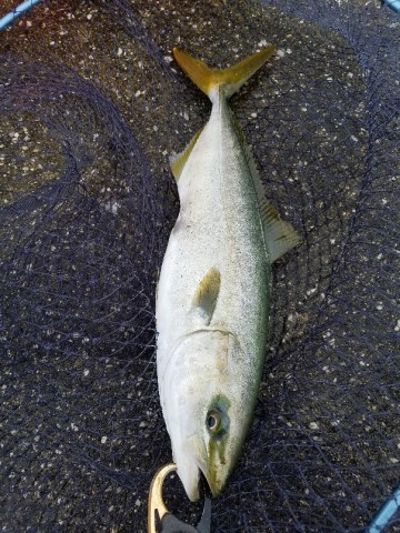 osj93bstdwcdguczkkcx_604_806-e66d2861.jpg