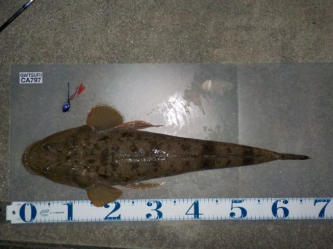 oskekotndkv2u7rs6ca8_480_480-50d3493b.jpg