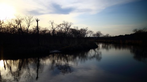 otdziuiznzp6cvo384ee_480_480-f65338ab.jpg