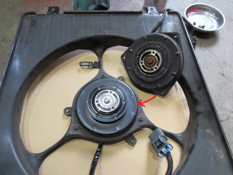 otg989drpg293rtkzcup_480_480-286d3642.jpg