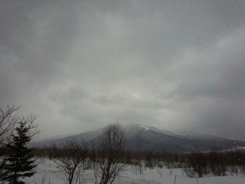 otngtanojerv6dau758c_920_690-46ce0b20.jpg