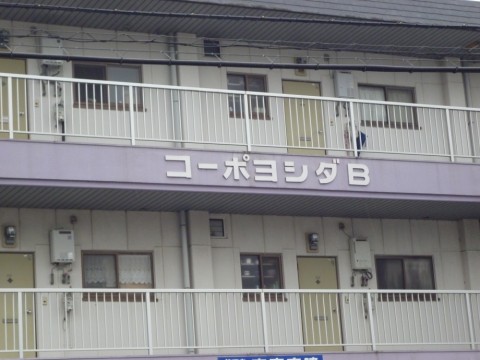 otpcuxdjusuvcojgy4y5_480_480-58935e33.jpg