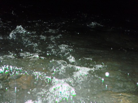ou4evu4gxdga74mea5cd_480_480-a8dd04ea.jpg