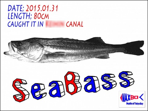 ou5dgxbdvrm8epe73c62_480_480-e612aa02.jpg
