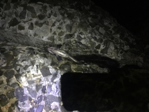 ou9vzcppt8254cxpk469_920_690-2f11e142.jpg