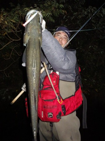 oua6nz7dpx279vtnom9u_480_480-e7e649d9.jpg