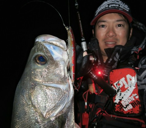 oudx9otos62t26tugyak_920_809-b99dc022.jpg