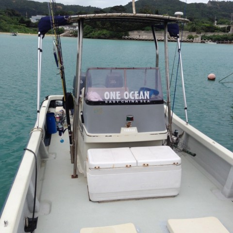 ouh67wk9ek6k7f2opcio_480_480-b99dbcd7.jpg
