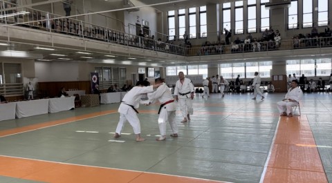 oujjg6co9or4aitbsu3k_480_480-78c56bd0.jpg