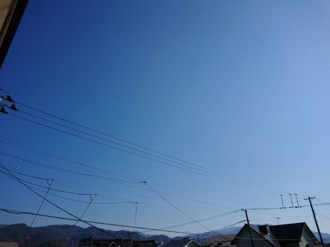out67p8pc2vosoa93jb8_480_480-b4b08372.jpg