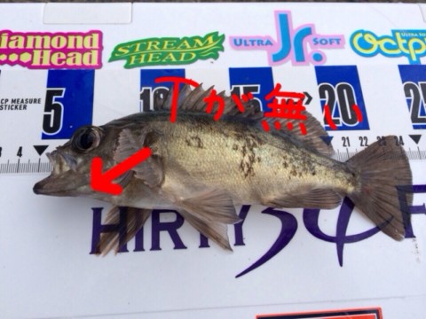 ouxz9s99r6jvaponc93s_920_690-2f8b0423.jpg