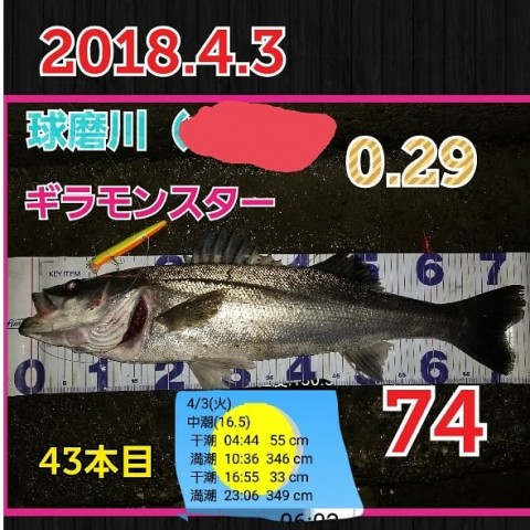 ov7c6x3wow5v2nm7o4ar_480_480-a79f80b2.jpg