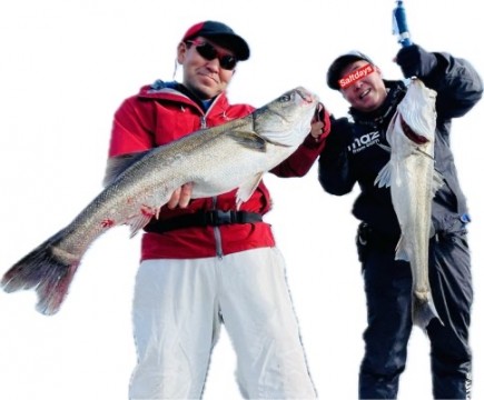 ov9auv9yvc6ry3dazvu5_480_397-b63a8045.jpg