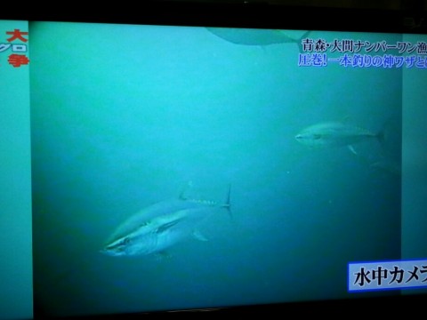 ovoertf34x8wbippb8m7_920_690-97fe8dc7.jpg