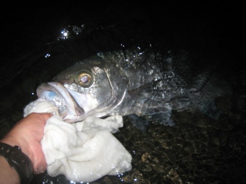 ovpgv6jko5y6h9rczcr3_480_480-c6576488.jpg