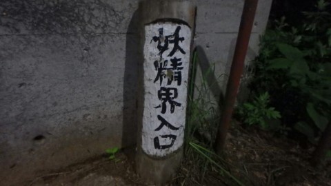 ovpt4gvzu497g9uoyofs_920_518-6743bd7f.jpg